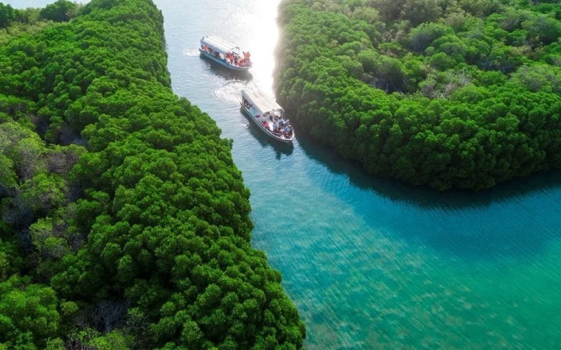 محمية جزر فرسان تجمع بين التنوع الحيوي و5657 كيلومترًا مربعًا من المساحات البحرية