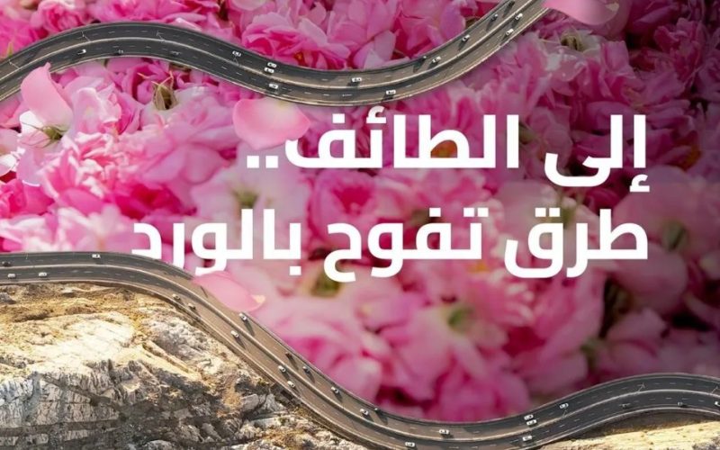 الطائف توسع خيارات السياحة عبر 70 مصنعًا للورد وشبكة طرق حديثة