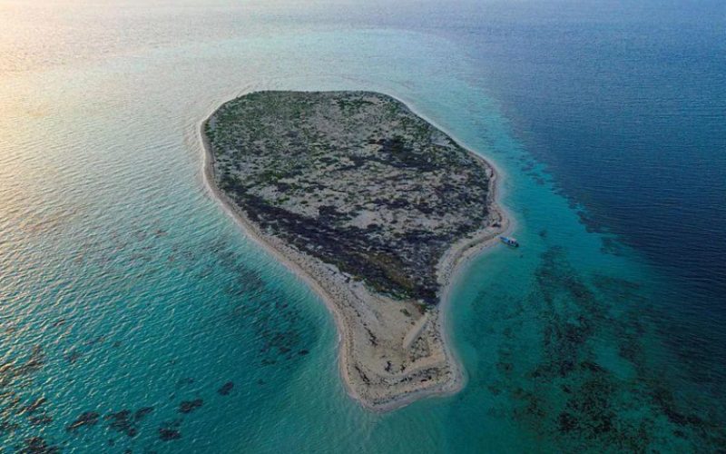 جزيرة سعودية مجهولة تقع في البحر الأحمر وتظهر بالرمز المكاني 24X2+G3.. ما هي؟