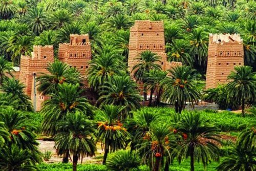تفاصيل المشروع الترفيهي الجديد الذي سيغير وجه السياحة في منطقة نجران